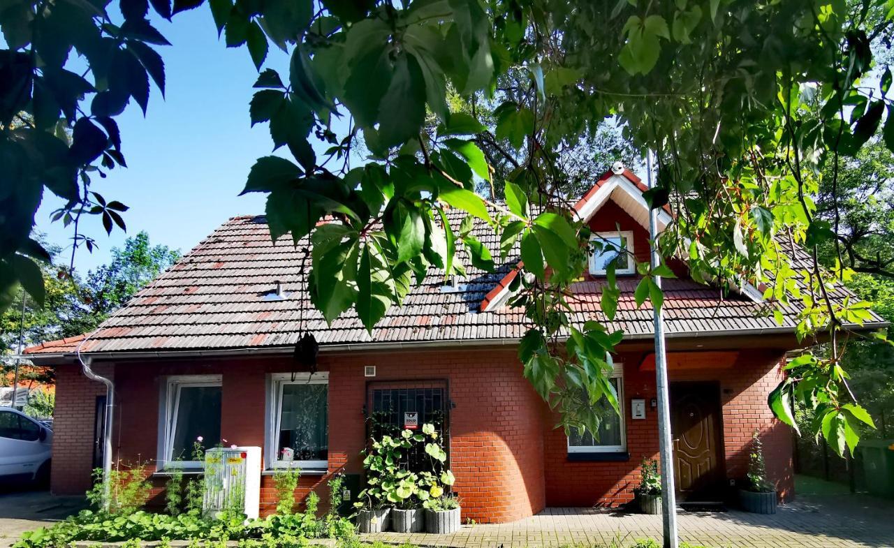 Chillout Apart In The Attic Apartment Lwowek Slaski Exterior photo